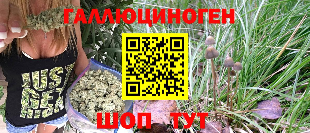 где можно купить   Псилоцибиновые грибы Psilocybine cubensis  Вход с VPN  Торжок 