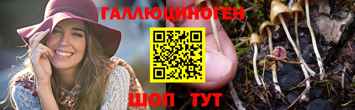 Кокаин  Вход с VPN  МЕТ  ГАШИШ  Гашиш  Альфа ПВП СК   Канабис  Торжок  Мефедрон   НБОМе 