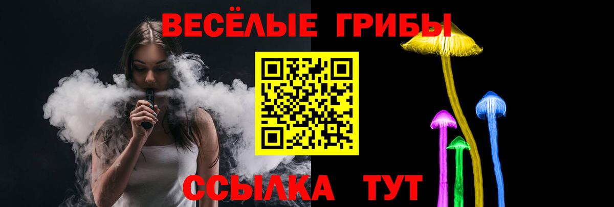 Псилоцибиновые грибы GOLDEN TEACHER Торжок